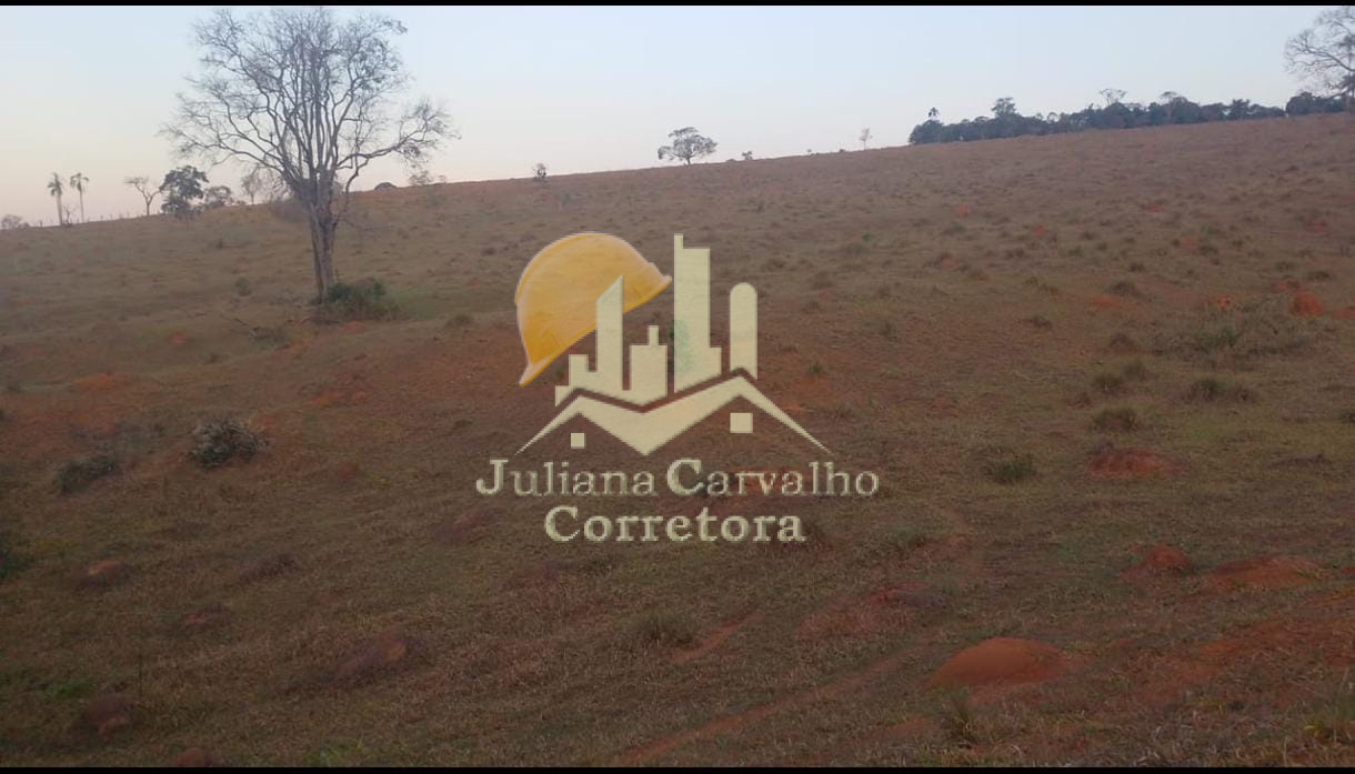47 Hect. em Lavras – Juliana Carvalho – Corretora de Imóveis (1)