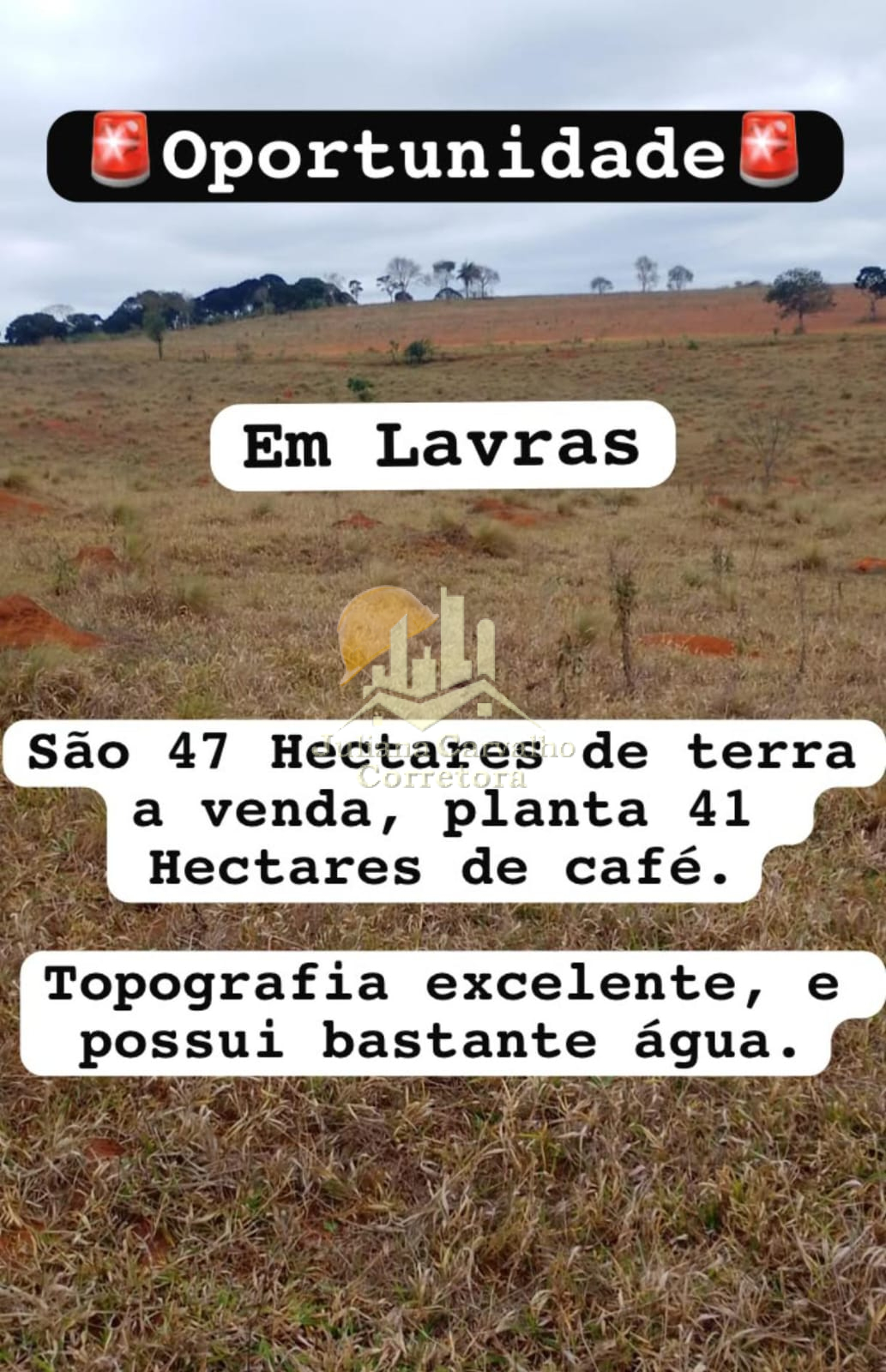 Oportunidade - 47 Hectares em Lavras MG