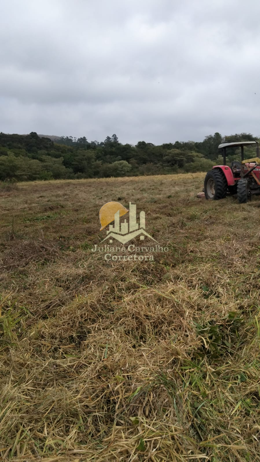 Lote de 6,25 hectares em Prados