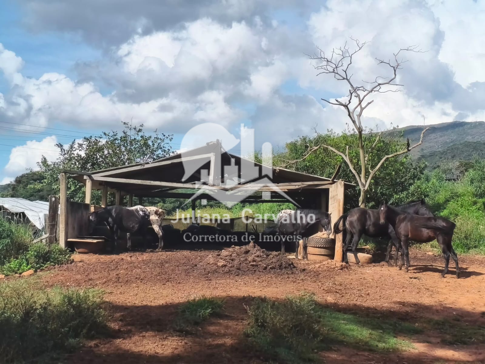 Fazenda 106 hectares com benfeitorias em terreno urbano e rural