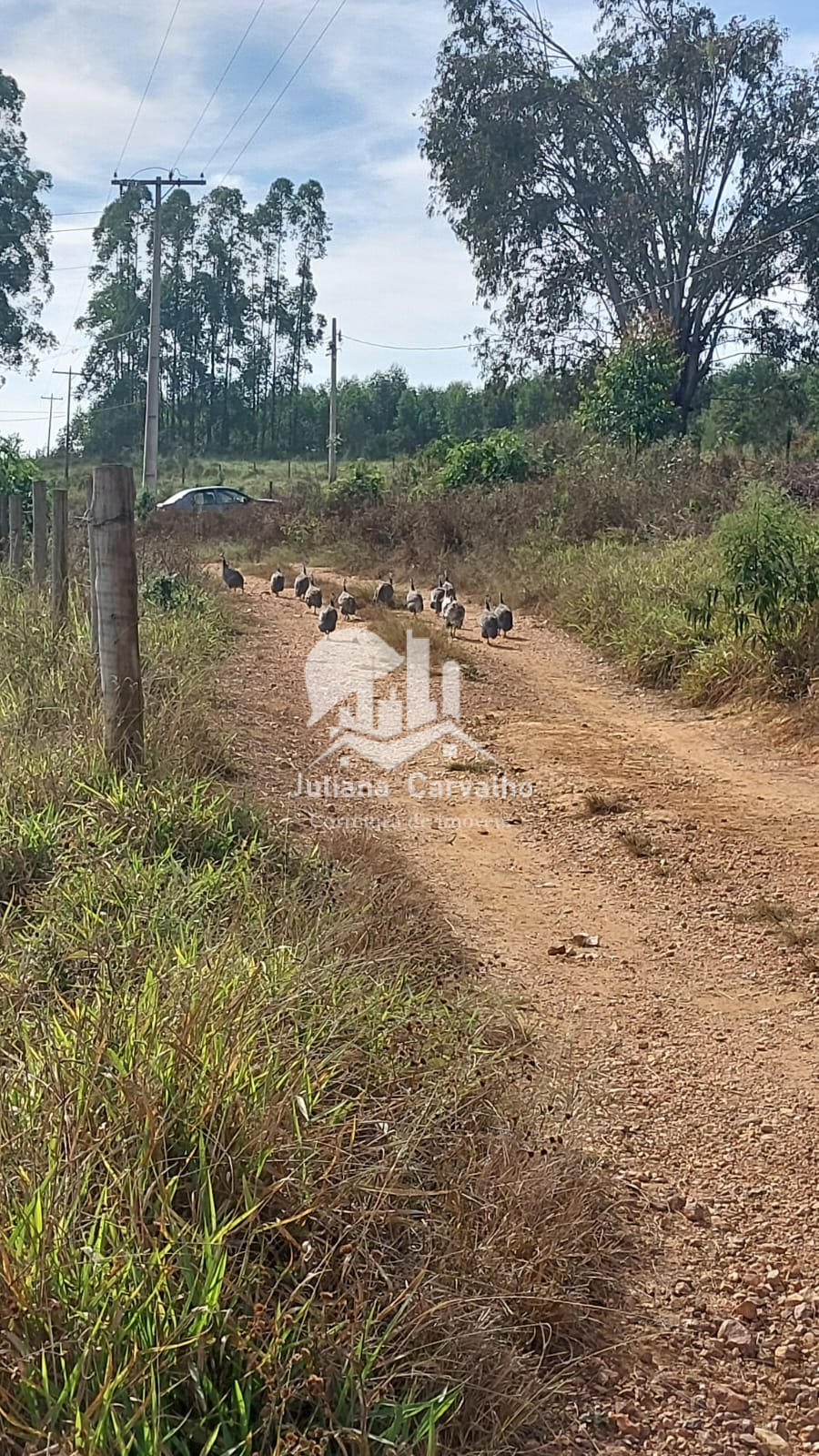 São 90 hectares. São 6 casas (sendo a sede com piscina, sauna ,4 quartos 3 banheiros, varanda) (3)